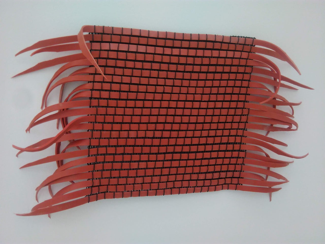 Rosenstock Dorothea, fabric rubber band red